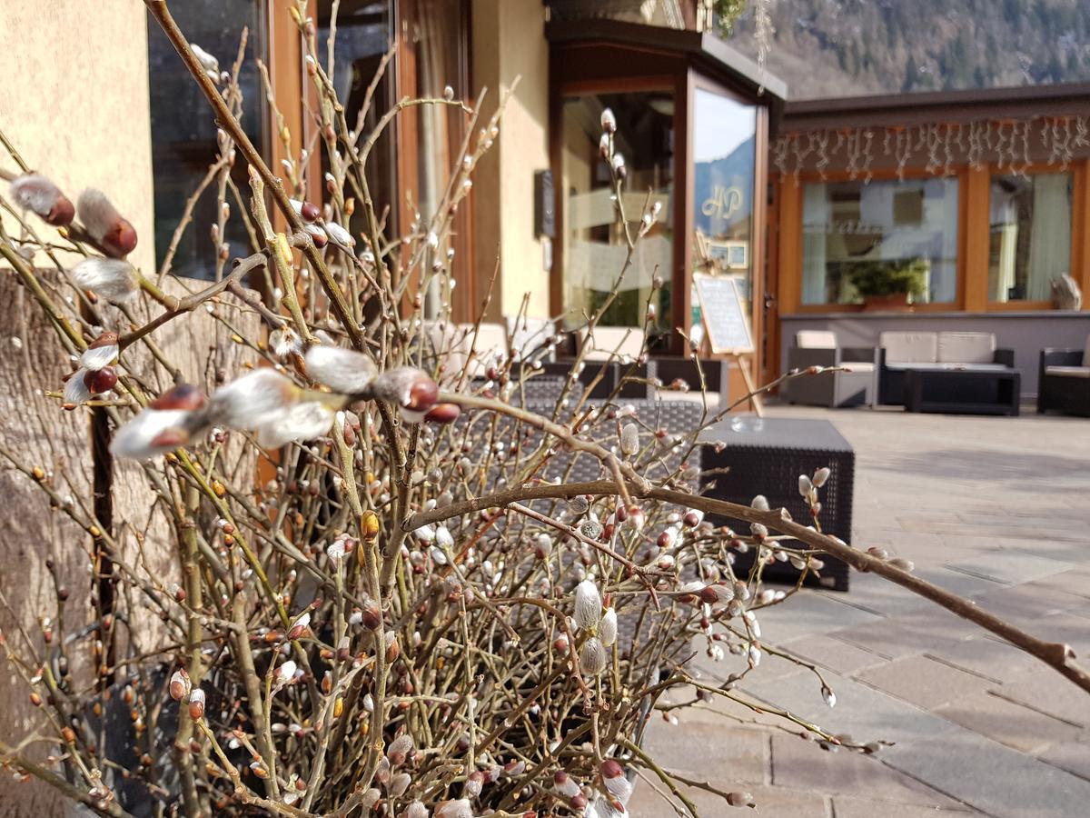 Hotel Pedretti Branzi Kültér fotó